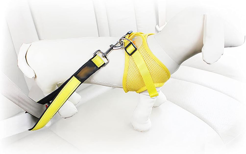 Dog Leashes for Small Dogs Dog Training Leash Rope Short Dog Lead Leash(Size:30cmx2.5cm,Color:Blue)