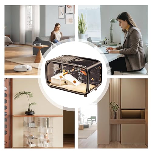 Petit aquarium de bureau avec rampe pour tortue et crevettes - 5