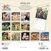 Shiba Inu | 2026 12 x 24 Inch (Hanging) Monthly Square Wall Calendar | Plastic-Free | BrownTrout | Animals Asian Dog Breeds