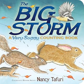 Board book The Big Storm: A Very Soggy Counting Book (Classic Board Books) Book
