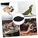 BESPORTBLE Turtle Tank Basking Platform Backing Material Multi-Functional Decorative Turtle Supply