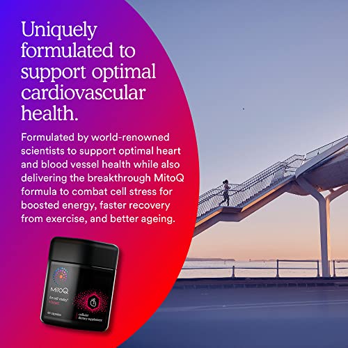 Mitoq Heart Premium Coq10 Antioxidant - Contains Magnesium, L-Carnitine & Vitamin D3 - Supports Circulatory Health, Healthy Blood Circulation Within Normal Limits And Cellular Health - 60 Capsules #TOP5