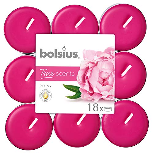 bolsius Teelichter Pfingstrose, 4 Stunden, Wachs, Pink, Einheitsgröße, 101926943462