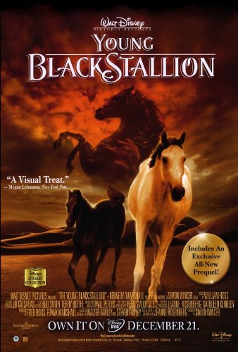 Amazon.com: Young Black Stallion Poster Movie (27 x 40 Inches