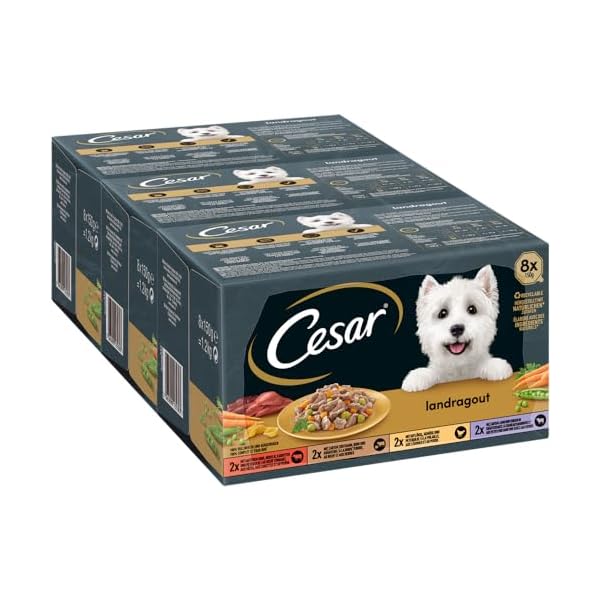Cesar Hundefutter Nassfutter Landküche Vielfalt in Sauce 24 Schalen (3 x 8 x 150 g)