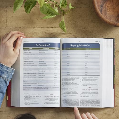 Image of NKJV, The Woman's Study Bible, Cloth over Board, Pink Floral, Red Letter, Full-Color Edition: Receiving God's Truth for Balance, Hope, and Transformation
