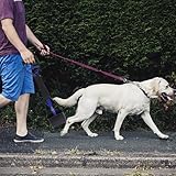 DALAETUS Pet Pooper Scooper Set, 17.7 inch Long Handle Portable Foldable Dog Dirt Scoop with Waste Bag for Outdoor/Indoor Cat Dog Animal Waste Grass Gravel Sand, Blue - Image 7