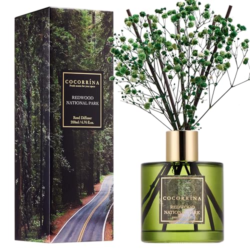 Image of COCORRINA Reed Diffuser - Redwood National Park 6.7 Fl.oz Reed Diffuser Set with 8 Sticks & Preserved Baby's Breath, Reed Diffuser for Home Bathroom Shelf Decor