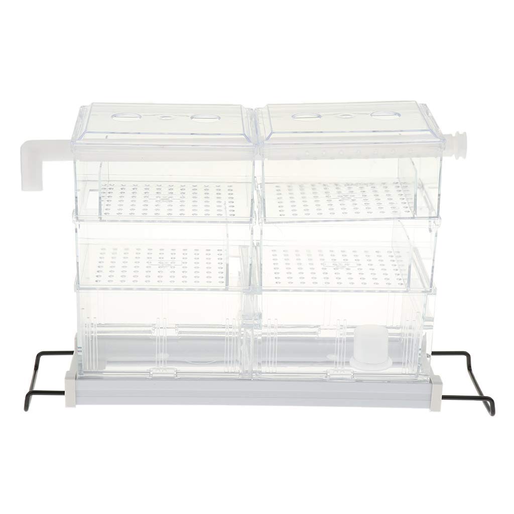 Transparent Aquarium Filter Box Filterkasten Fish Tank Filterausstattung