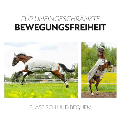Fliegendecke für Pferde – Sunride Transportdecke mit UV-Schutz und abnehmbarem Halsteil