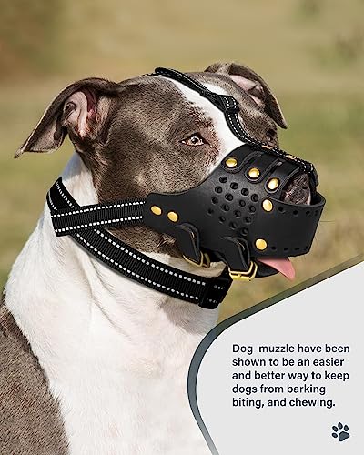 Midog MD-238-BLACK-XL-1 Dog Muzzle, Anti-Escape Leather Basket Muzzle thumb #6