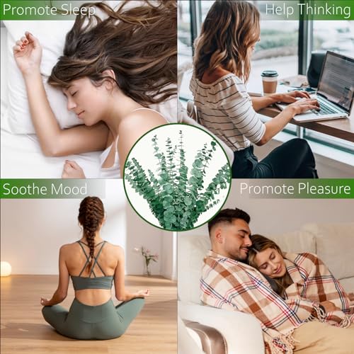 20 Stück Eukalyptus Getrocknet 43cm Natürliche Trockenblumen Konserviert Frische Eukalyptus-Zweige für Hochzeit Blumen Arrangements Heim Décor 215/65