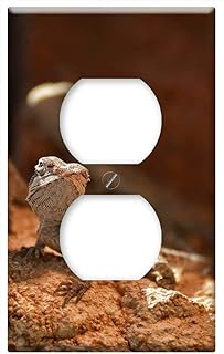 Switch Plate Outlet Cover - Bearded Dragons Babies Young Animals Pogona 1