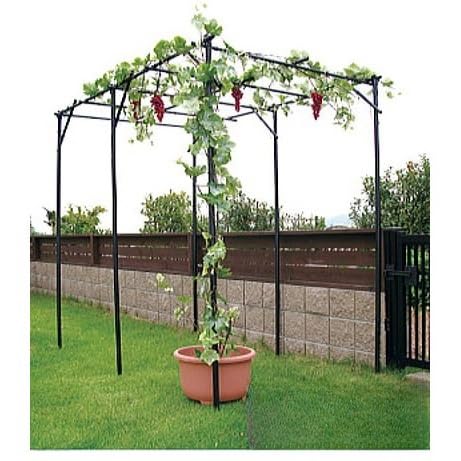 ̒IZb LECI ԂǂI I |I