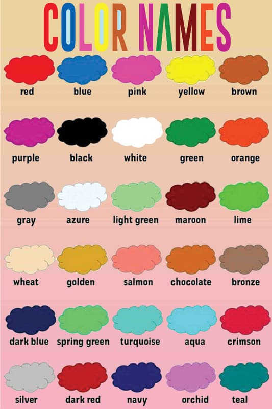 Buy Kids Learning for DecorationColor Names Kids Educational for Wall