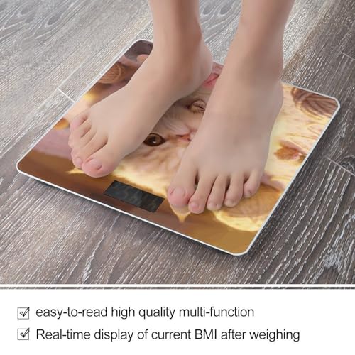 Báscula Digital Fluffy Paws Sweetheart para Baño 400 lb miniatura 5