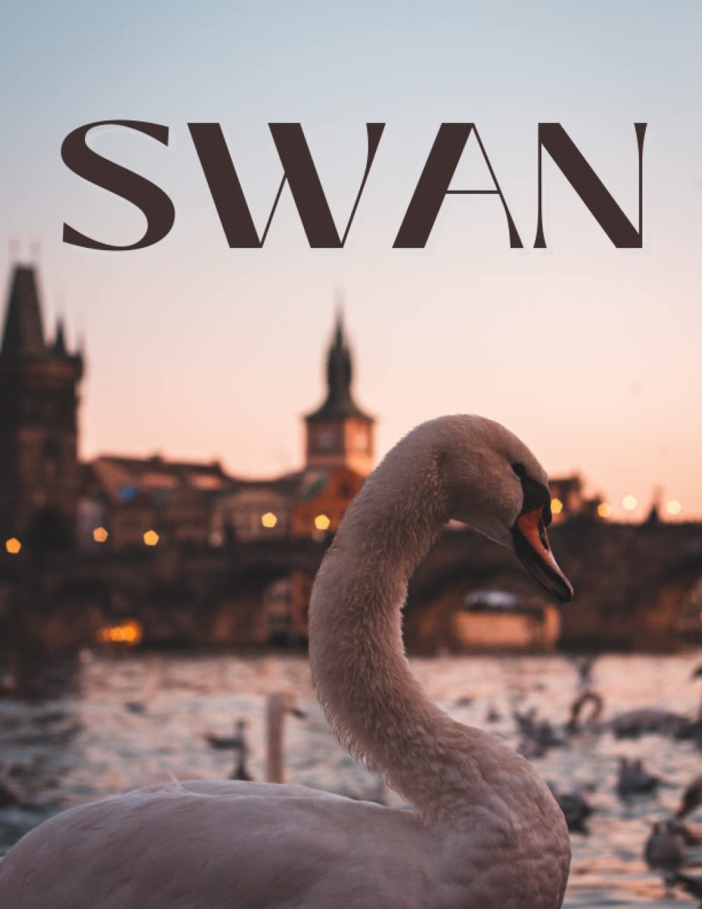 Swan: Coffee Table Picture Book