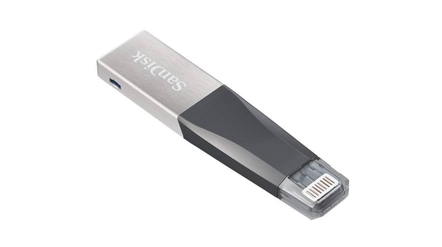 ★iXpand★SanDisk★USBメモリー★128GB★ Amazon.com: SanDisk 128GB USB 3.0 iXpand Mini Flash Drive