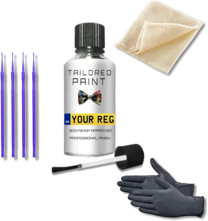 Mixed by Reg Registration Plate Car Touch Up Paint Kit All In 1 Formula