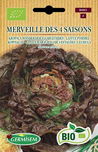Germisem Orgánica Merveille Des 4 Saisons Semillas de Lechuga 2 g, ECBIO6021