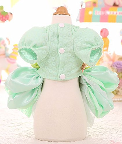 Marupet Elegant Princess Lace Flower Fairym Dress Silky Tutu With Bowknot For Small, Extra Small Dog Teddy, Pug, Chihuahua, Shih Tzu, Yorkshire Terriers Green Xl #TOP2