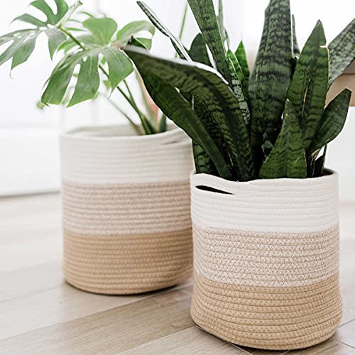Organihaus 2-Pack 10 & 12 Inch Planters | Round Planter Cover | Rope Plant Baskets Indoor | Flower Pot Covers Wraps | Woven Basket For Plant Pots | Decorative Basket Planter For Indoor Plants - Honey #TOP5