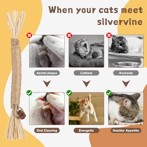 Silvervine Katzenspielzeug, natürliches Katzenminze-Kauspielzeug für Kätzchen, zur Zahnreinigung, steigert den Appe, beruhigt Angst und Stress, 3 Stück
