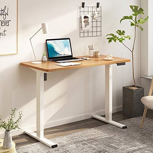 Flexispot Electric Standing Desk Height Adjustable Standing Desk Sit Stand Desk Height Adjustable Desk with Heavy Duty Steel and Automatic Memory Smart KeyboardEF1|White Frame Only)
