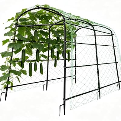unho 87inch Metal Garden Trellis Arch for Climbing Plants - Polyethylene-Coated Anti-Rust, Heavy Duty, Wide Walk-Through Outdoor Arch with Net, for Cucumber Tomato Squash Zucchini Peas Grape Flowers