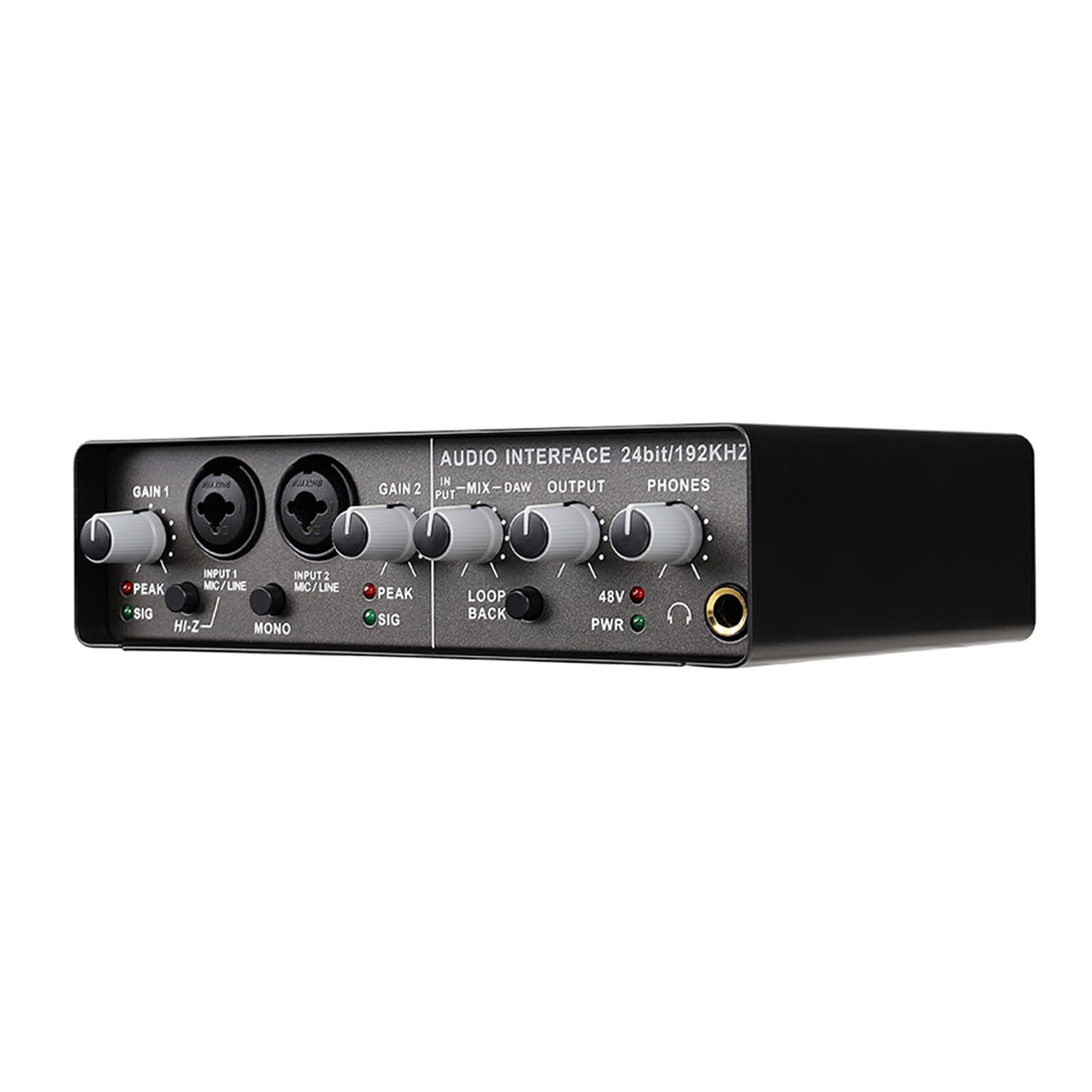 Scheda Audio con Alimentazione Phan-Tom 48V Esperienza Audio con Alimentazione Scheda Audio Esterna USB 2.0 con connessione USB-C Metallo