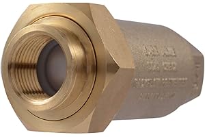 Cash Acme 3/4 Inch BF1 Dual Check Valve with Female Unions: Reliable Plumbing Protection
