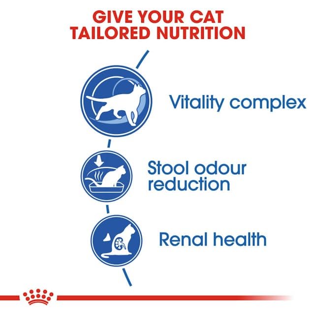 ROYAL CANIN Indoor 7+ | Doppelpack | 2 x 400 g | Alleinfuttermittel speziell für ältere Katzen die im Haus Leben | Kann die Nieren- und Harnwegsfunktion unterstützen