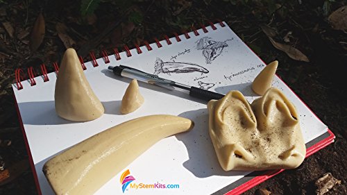 Top 30 Math Educational Software of 2022 [Verified] - CherryPicksReviews