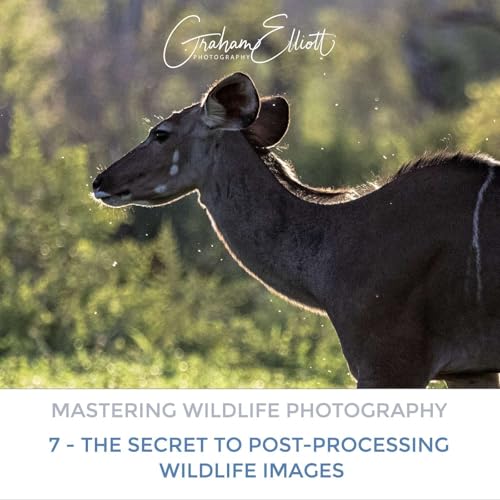 Mastering Wildlife Photography Part 7: The Secret to Post-Processing Wildlife Images Podcast Por arte de portada