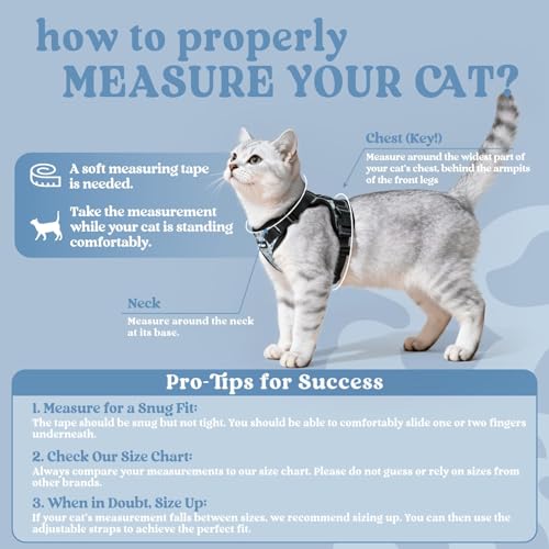 Image of rabbitgoo Cat Harness and Leash Set, Escape Proof Vest, Doodle Gray | Soft Breathable Mesh, Easy Adjustable Fit, Snap Buckles, Sturdy Clip, Reflective Strips, for Kittens & Small Cats Walks, Xxs