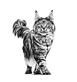 Royal Canin VET CARE Neutered Satiety Balance 1,5kg