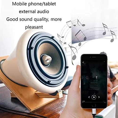 Usb C To 2 Male Rca Audio Stereo Cable 3.3 Feet, Usb Type C To 2-Male Rca Adapter Audio Stereo Cord Compatible With Ipad Pro 2021 Air 4 Mini 6 Samsung S21 Ultra S20 Note20 Tab S7, Pixel 5(Black) #TOP3