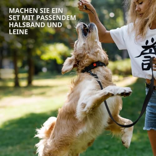 CollarDirect Maulkorb – Verstellbarer, weicher, atmungsaktiver Nylon-Mundschutz für kleine, mittelgroße und große Hunde, Anti-Kauen, Bellen und Beißen (Schwarz, L/XL)