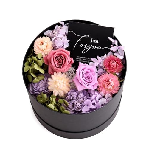 hCt[ vU[uht[ Mtg a v[g JXj j LO e Vzj EFfBO j {bNXt[  GKg iNVbNp[vj