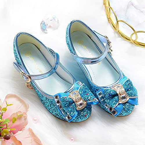 Flower Girls Princess Costume Party Dress Glitter Shoes Mary Janes4