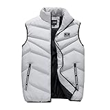 ベスト メンズ 中綿ベスト カジュアル 立ち襟 中綿ダウンコットン 防寒対策 暖か 軽量 裏起毛 秋 冬 大きいサイズ