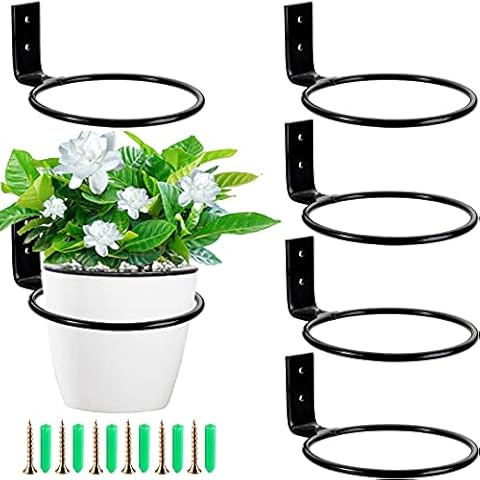 WUWEOT 6 Stück Wandhalterung Blumentopf 10cm Blumentopfhalter Wand Ring Blumentopfhalter Wandmontage Pflanzen Wandhalterung Pflanzenhalter Wand für Haus Garten Balkon Schwarz Cover