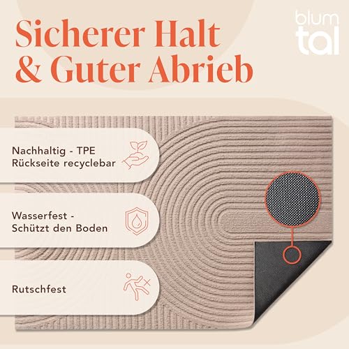 Blumtal Fußmatte 40x60 cm - rutschfeste Schmutzfangmatte - Fußabtreter mit Muster - Fußmatten Haustür - Türmatte aus Polyester - Fußmatte innen/Schmutzfangmatte außen - Fußabstreifer Beige