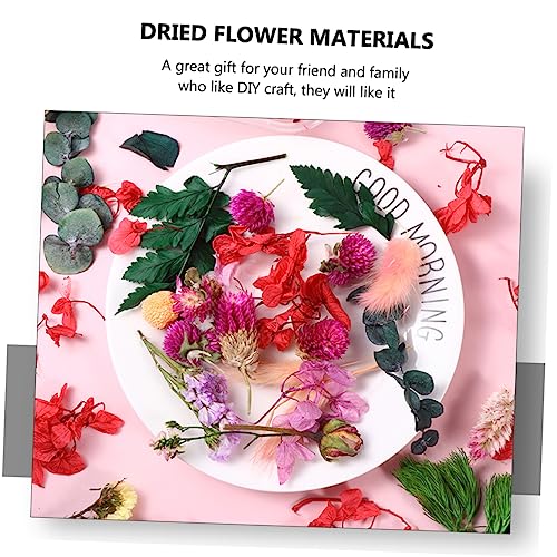 Ramo de flores secas prensadas para artesanía miniatura 4