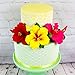 Global Sugar Art Hibiscus Sugar Cake Flowers Spray, Red Hawaiian Cake Flower Large, 1 Count by Chef Alan Tetreault