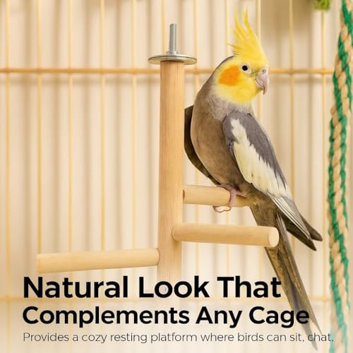 Image of KSK Natural Wood Multi-Branch Bird Perch Stand for Cage | Real Tree Branch Perch for Budgies, Cockatiels, Conures, Lovebirds & Parakeets | Hanging Wooden Bird Cage Accessory for Climbing & Playing