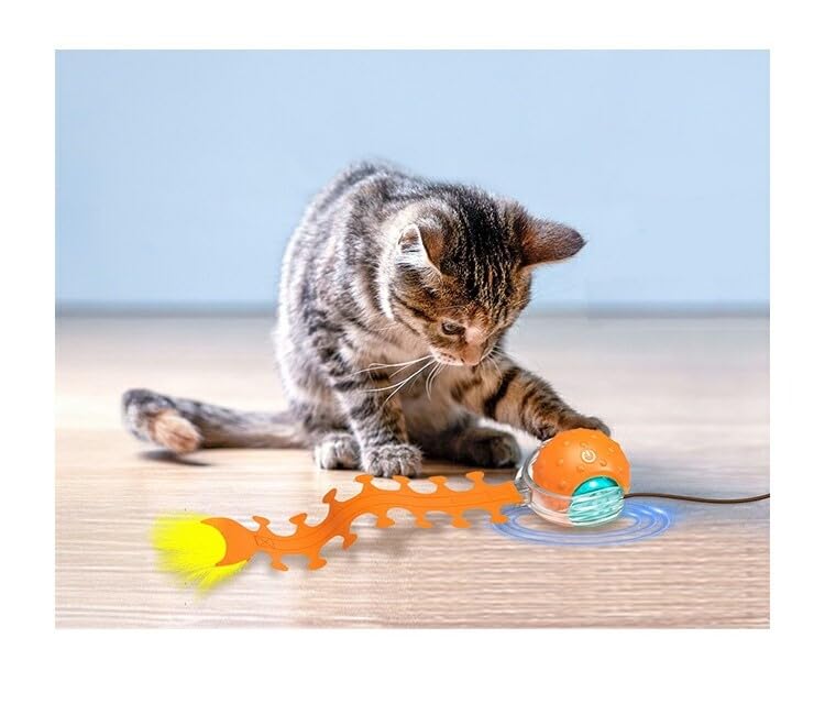 Amazon.co.jp: ベントパル(BENTOPAL) P79A SMART PET TOY BPAL0094 猫