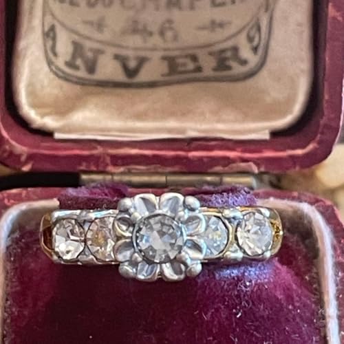 p CMX Be[W  ԕ F F w O 14 a̎s