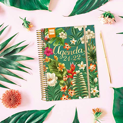 Agende Tiger Migliori, più belle e consigliate per organizzazione 2022