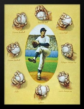 Framed The Art of The Pitch by David Marrocco GELCOAT 21.25x16.25 Baseball Pitching Pitcher Player Lessons Demonstrations Instructional